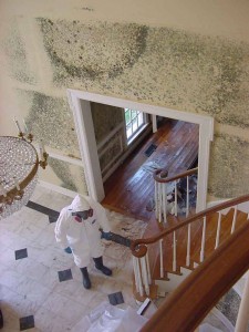 mold abatement project